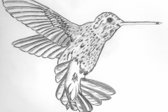 Hummingbird-2