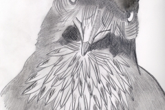 Raven-2