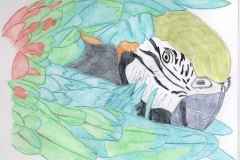 parrot-finished